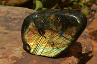 Polished Labradorite Standing Free Forms With Intense Blue & Gold Flash x 2 From Tulear, Madagascar - TopRock