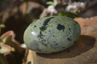 Polished Spotted Leopard Stone Gallets  x 12 From Zimbabwe - Toprock Gemstones and Minerals 