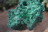 Natural Chatoyant Silky Malachite Specimen x 1 From Kasompe, Congo - Toprock Gemstones and Minerals 