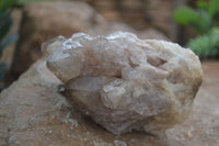 Natural Cascading Smokey White Phantom Quartz Clusters  x 2 From Luena, Congo - Toprock Gemstones and Minerals 