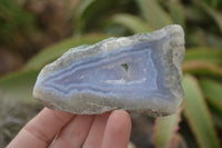 Polished Blue Lace Agate Geode Specimens  x 6 From Malawi