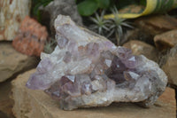 Natural Jacaranda Amethyst Cluster x 1 From Mumbwa, Zambia - TopRock