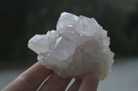 Natural White Cactus Spirit Quartz Crystals  x 3.6 Kg Lot From Boekenhouthoek, South Africa - Toprock Gemstones and Minerals 