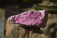 Natural Pink Salrose Cobaltion Dolomite Specimens  x 6 From Kakanda, Congo