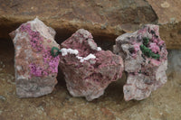 Natural Salrose Cobaltion Dolomite Specimens  x 12 From Kakanda, Congo - TopRock