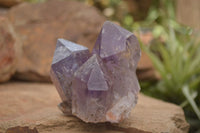 Natural Amethyst Crystal Clusters  x 3 From Zambia - TopRock