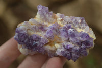 Natural Amethyst Crystal Plates x 12 From Mapatizya, Zambia