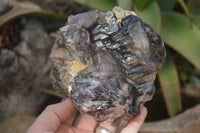 Natural Large Window Amethyst Brandberg Crystal Clusters x 2 From Brandberg, Namibia