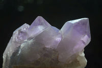 Natural Jacaranda Amethyst Clusters  x 2 From Mumbwa, Zambia - Toprock Gemstones and Minerals 