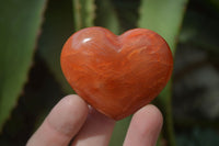 Polished Carnelian Agate Hearts  x 12 From Madagascar