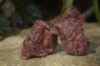 Natural Rough Red Rhodonite Specimens  x 12 From Zimbabwe