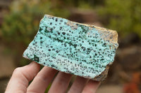 Natural Drusi Coated Chrysocolla With Malachite Specimens  x 3 From Kakanda, Congo - TopRock