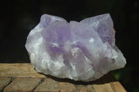 Natural Jacaranda Amethyst Clusters x 2 From Mumbwa, Zambia - TopRock