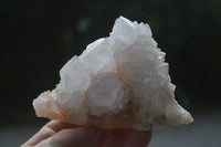 Natural White Cactus Spirit Quartz Crystals  x 3.6 Kg Lot From Boekenhouthoek, South Africa - Toprock Gemstones and Minerals 