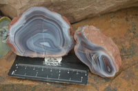 Polished Banded River Agate Nodules  x 6 From Sashe River, Zimbabwe - Toprock Gemstones and Minerals 