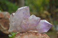 Natural Jacaranda Amethyst Crystal Clusters  x 4 From Zambia - TopRock