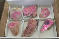 Natural Pink Salrose Cobaltion Dolomite Specimens x 6 From Kakanda, Congo