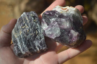 Natural Rough Watermelon Fluorite Cobbed Specimens x 12 From Uis, Namibia