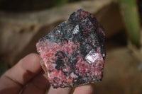 Natural Rough Red Rhodonite Specimens  x 12 From Zimbabwe