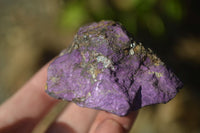 Natural Metallic Purpurite Cobbed Specimens A Grade x 12 From Erongo, Namibia - Toprock Gemstones and Minerals 