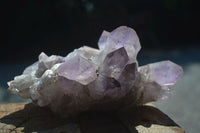 Natural Jacaranda Amethyst Clusters  x 2 From Mumbwa, Zambia - Toprock Gemstones and Minerals 