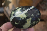 Polished Spotted Leopard Stone Gallets  x 12 From Zimbabwe - Toprock Gemstones and Minerals 