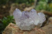 Natural Jacaranda Amethyst Clusters  x 3 From Mumbwa, Zambia - Toprock Gemstones and Minerals 