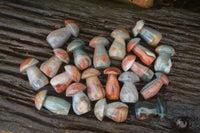 Polished Small Polychrome Jasper Mushrooms  x 37 From Madagascar