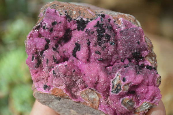 Natural Pink Salrose Cobaltion Dolomite Specimens  x 3 From Kakanda, Congo