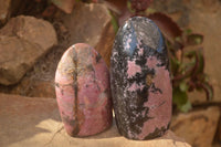 Polished  Pink & Black Rhodonite Standing Free Forms x 2 From Madagascar