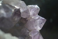 Natural Jacaranda Amethyst Cluster  x 1 From Zambia - Toprock Gemstones and Minerals 