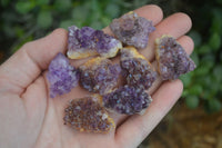 Natural Small Dark Amethyst Crystal Plates  x 70 From Mapatizya, Zambia - Toprock Gemstones and Minerals 