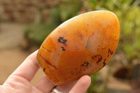 Polished Dendritic Agate Standing Free Forms  x 5 From Moralambo, Madagascar - TopRock