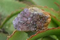 Natural Amethyst Crystal Plates x 12 From Mapatizya, Zambia