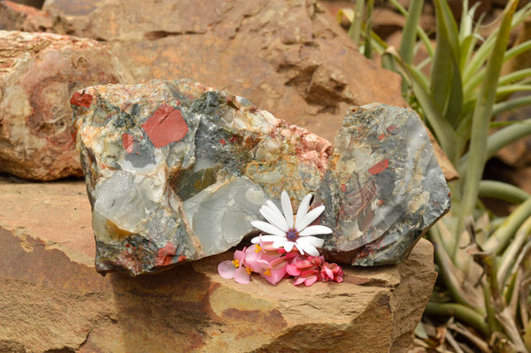 Natural Dragon Bloodstone Cobbed Specimens (Seftonite)  x 2 From Swaziland - TopRock