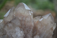 Natural Cascading Smokey White Phantom Quartz Clusters  x 2 From Luena, Congo - Toprock Gemstones and Minerals 