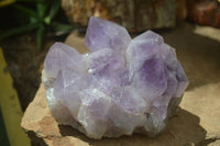 Natural Jacaranda Amethyst Clusters x 2 From Mumbwa, Zambia - TopRock