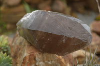 Natural Groovy Self Healed Smokey Quartz Cluster & Large Crystal  x 2 From Malawi - TopRock