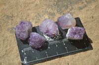 Natural Small Mixed Spirit Quartz Crystals  x 70 From Boekenhouthoek, South Africa - Toprock Gemstones and Minerals 