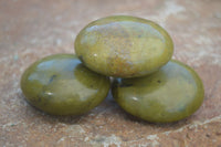 Polished Green Opal Palm Stones  x 12 From Antsirabe, Madagascar - Toprock Gemstones and Minerals 