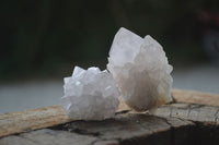 Natural White Cactus Spirit Quartz Crystals  x 3.6 Kg Lot From Boekenhouthoek, South Africa - Toprock Gemstones and Minerals 