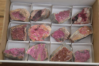 Natural Salrose Cobaltion Dolomite Specimens x 12 From Kakanda, Congo