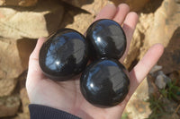 Polished Black Basalt Palm Stones x 12 From Madagascar