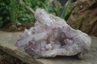 Natural Jacaranda Amethyst Cluster x 1 From Mumbwa, Zambia - TopRock