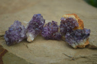 Natural Small Dark Amethyst Crystal Plates  x 70 From Mapatizya, Zambia - Toprock Gemstones and Minerals 