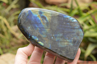 Polished Labradorite Standing Free Forms With Intense Blue & Gold Flash x 2 From Tulear, Madagascar - TopRock