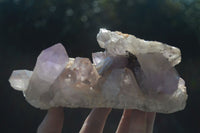 Natural Jacaranda Amethyst Clusters  x 2 From Mumbwa, Zambia - Toprock Gemstones and Minerals 