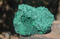 Natural Chatoyant Silky Malachite Specimen x 1 From Kasompe, Congo - Toprock Gemstones and Minerals 