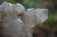 Natural Cascading Smokey White Phantom Quartz Clusters  x 2 From Luena, Congo - Toprock Gemstones and Minerals 