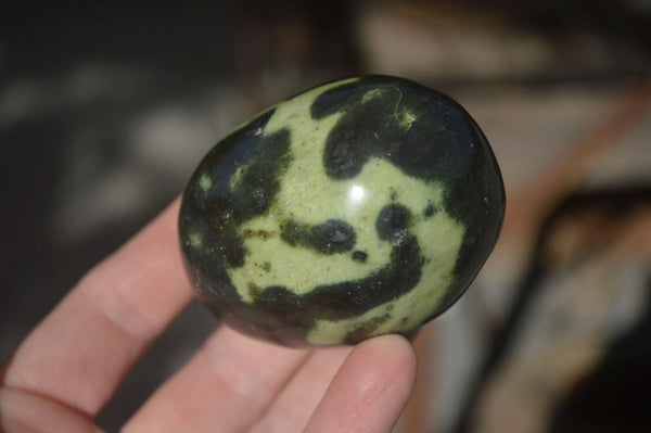 Polished Spotted Leopard Stone Gallets  x 12 From Zimbabwe - Toprock Gemstones and Minerals 